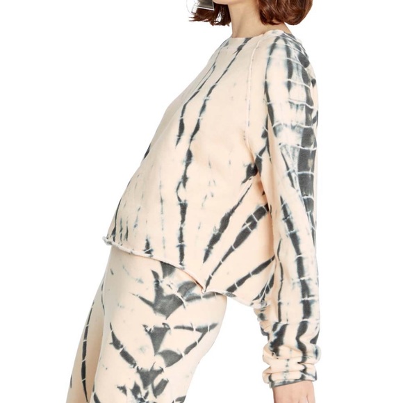 NWT WILDFOX NECTAR STRIPE SWEATSHIRT XS - Picture 3 of 6